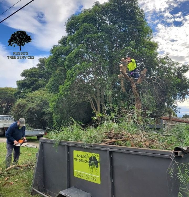Wellington Russo’s Tree Services 9 Sale Vegetation management