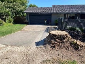 Home Russo’s Tree Services 5 Stump removal Sale
