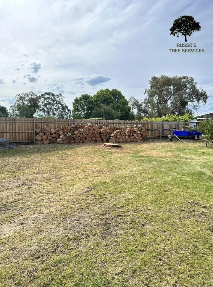 Stump Removal Russo’s Tree Services 5 Tree stump removal Sale